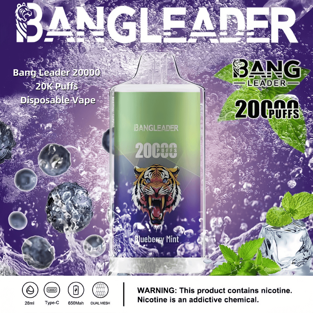 Bang Leader 20000 20K Puffs Rechargeable Disposable Vape 0% 2% 3% 5%  Nicotine 12Tastes Factory Direct - FDVAPE