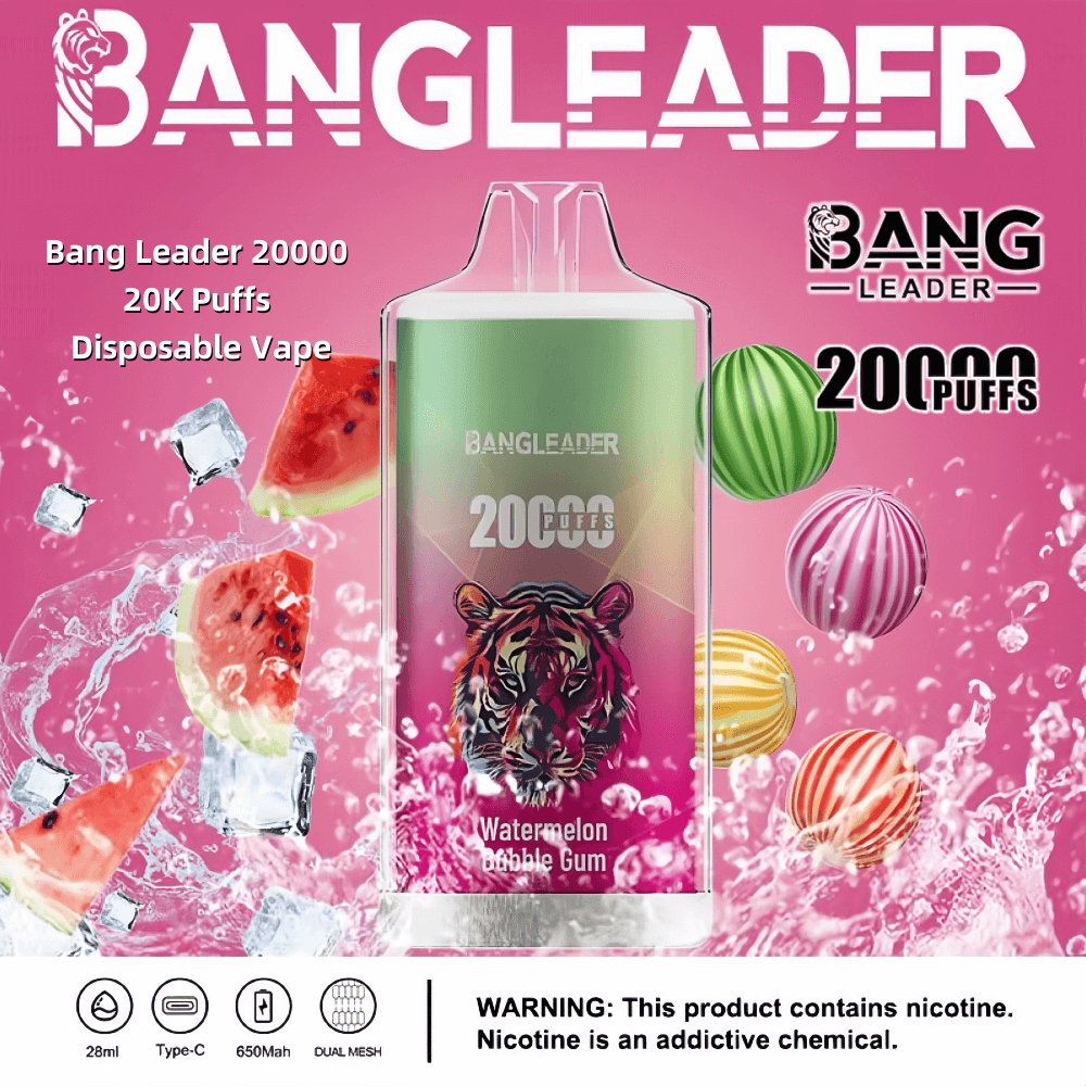Bang Leader 20000 20K Puffs Rechargeable Disposable Vape 0% 2% 3% 5%  Nicotine 12Tastes Factory Direct - FDVAPE