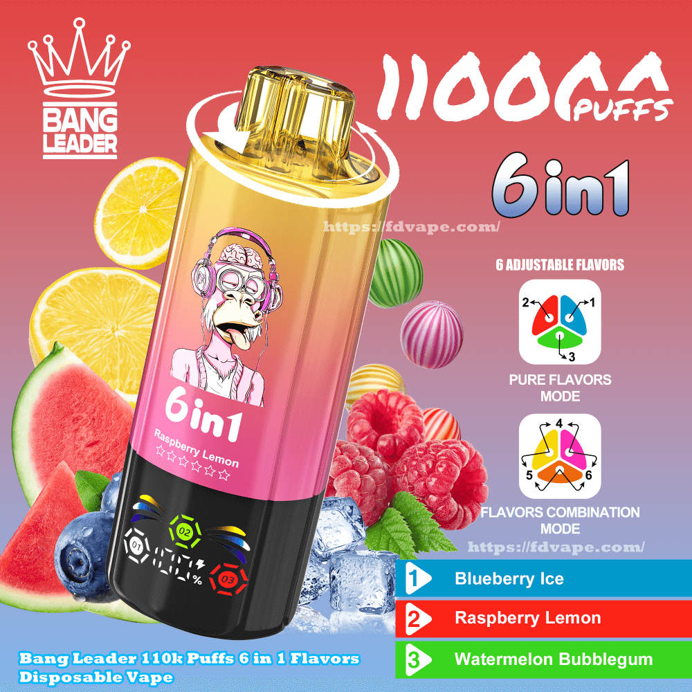 Bang Leader 110000 110k Puffs 6 in 1 Flavors Disposable Vape Adjustable  Flavors 2% 3% 5% Nicotine 10Tastes Smart Screen Display | Vape Factory  Direct