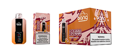 Bang 25000 25k Puffs 0% 2% 3% 5% Nicotine New LED Display Disposable Vape - High-capacity vaping device with LED display