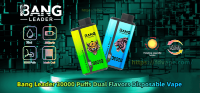 Promotional graphic showing two colorful Bang Leader disposable vapes—a yellow-green device with a tiger illustration and a blue device with a roaring lion—floating on a teal geometric background surrounded by icons and labels for 30 ml, 550 mAh, mesh coil, puff count, rotating cigarette holder and dual-flavor capability, with the headline Bang Leader 30000 Puffs Dual Flavors Disposable Vape.