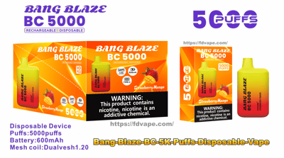 Bright orange retail artwork and a yellow-to-red Bang Blaze BC 5000 rechargeable disposable vape device and box labeled Strawberry Mango, advertising 5000 puffs, 600mAh battery, Type-C charging and mesh coil specs, with a prominent nicotine-warning panel.