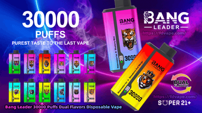 Colorful advertisement for Bang Leader disposable vapes prominently showing “30000 PUFFS,” two large dual-flavor devices and a row of smaller rainbow-colored units with a roaring tiger logo, a Dual Flavor badge, the vendor URL, and a “SUPER 21+” age notice against a purple-blue smoky background.