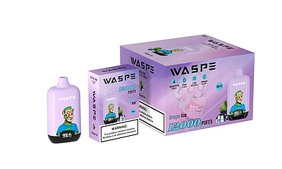 WASPE 12000 Puffs Digital Box Disposable Vape - High-capacity vape device with digital box display