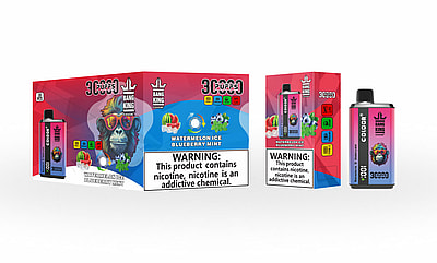 Bang King 30000 30k Puffs Double Goût Vape Jetable 0% 2% 3% 5% Nicotine 12 Goûts LED Affichage Direct Usine