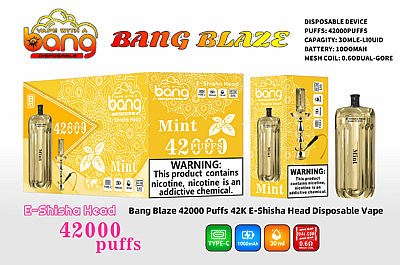 Immagine promozionale per il dispositivo Bang Blaze Disposable Vape, caratterizzato dal sapore di menta e dalle specifiche che includono 42.000 boccate, capacità del liquido di 30 ml, batteria da 1000 mAh e design della bobina a rete.
