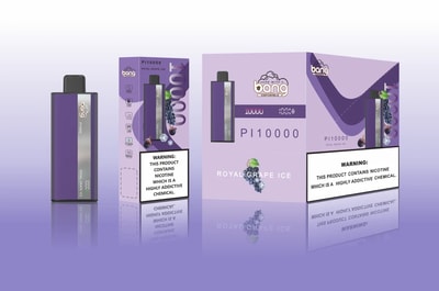 Original Wholesale Bang PI 10000 10k Puffs Disposable Vape - High-capacity disposable vaping device