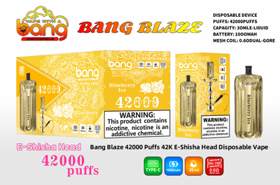 Promotional image for the Bang Blaze Blueberry Ice E-Shisha Head device, featuring 42,000 puffs and specifications such as a 30ml capacity, 1000mAh battery, and 0.60 ohm mesh coil.