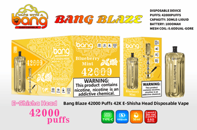 Product image for Bang Blaze disposable vape featuring blueberry mint flavor, highlighting 42,000 puffs, 30ml liquid capacity, and a 1000mAh battery.