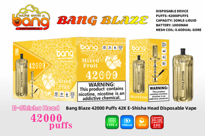 Promotional image for the Bang Blaze E-Shisha Head Disposable Vape highlighting its 42,000 puffs capacity, Mixed Fruit flavor, 30ml liquid content, 1000mAh battery, Type-C compatibility, and warning about nicotine content.