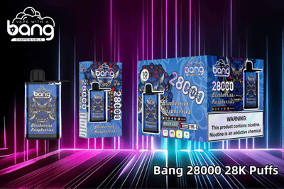 "Bang 28000 disposable vape featuring a Blueberries Raspberries flavor, mesh coil, Type-C rechargeable port, and packaging with a bold, decorative design and nicotine warning label."
