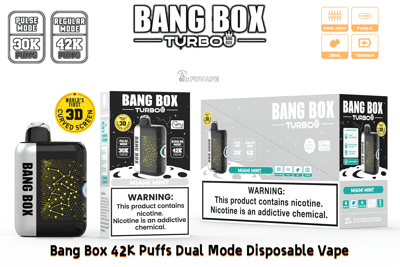 Bang Box Turbo dual-mode disposable vape with 42K puffs in Miami Mint, shown with a black device and two product boxes.
