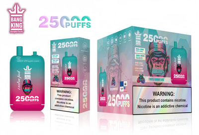 Bang King 25000 Puffs 25k Double Warehouse Disposable Vape Many Nicotine Tastes Rechargeable LED Display E Cigarette Wholesale