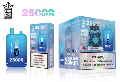 Bang King 25000 Puffs 25k Double Warehouse Disposable Vape Many Nicotine Tastes Rechargeable LED Display E Cigarette Wholesale