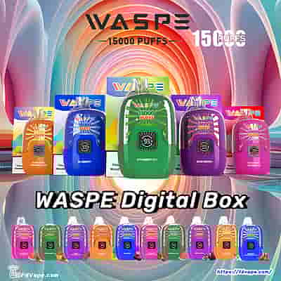 WASPE Digital Box 15000 15k Puffs Einweg-Vape - Hochleistungs-Einweg-Vape-Gerät mit digitaler Box-Anzeige