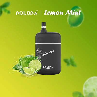 DOLODA Pebble 6500 Puffs Disposable Vape - High-capacity disposable vaping device