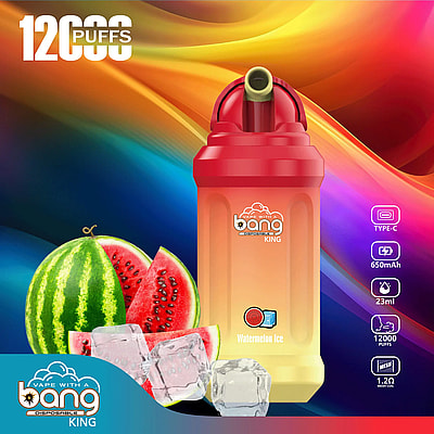 Chinese New Model Bang King 12000 12k Puffs Disposable Vape - High-capacity disposable vape device