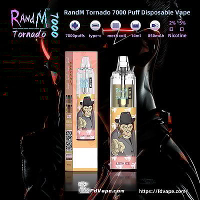 Original grossist BANG Tn 12000 12k Puffs Disposable Vape - Hög kapacitet engångs vaping enhet