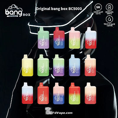 Original Wholesale Bang Box BC 5000 5k Puffs Disposable Vape - High-capacity disposable vape device