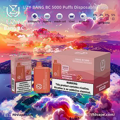 UZY BANG BC 5000 Puffs Disposable Vape - Einweg-Vape-Gerät mit hoher Kapazität