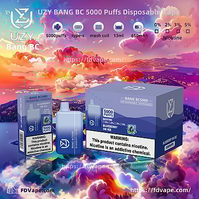 UZY BANG BC 5000 Puffs Disposable Vape - Einweg-Vape-Gerät mit hoher Kapazität