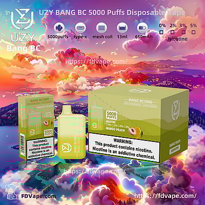 UZY BANG BC 5000 Puffs Disposable Vape - Einweg-Vape-Gerät mit hoher Kapazität