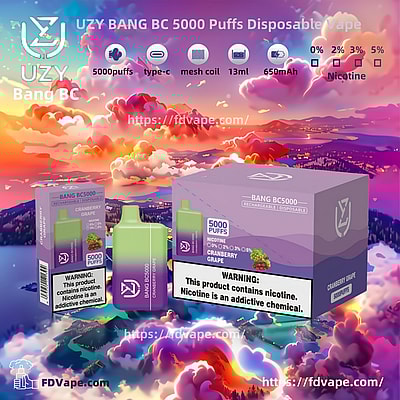 UZY BANG BC 5000 Puffs Disposable Vape - Einweg-Vape-Gerät mit hoher Kapazität