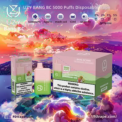 UZY BANG BC 5000 Puffs Disposable Vape - Einweg-Vape-Gerät mit hoher Kapazität