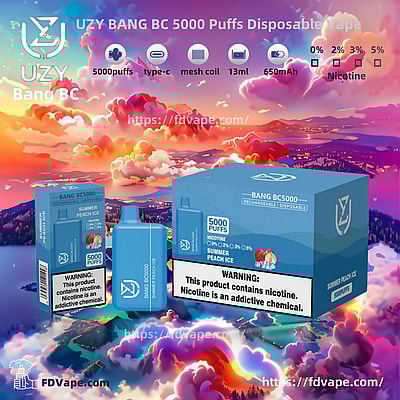 UZY BANG BC 5000 Puffs Disposable Vape - Einweg-Vape-Gerät mit hoher Kapazität