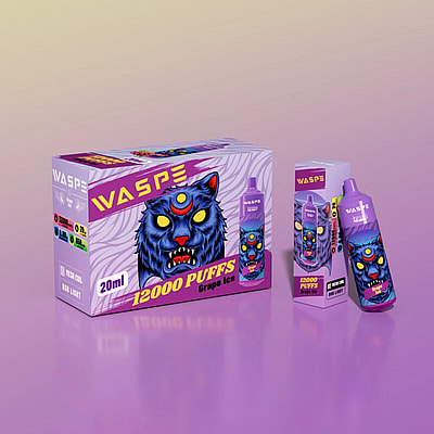 WASPE 12000 12k Puffs Disposable Vape - High-capacity disposable vape device offering 12000 puffs
