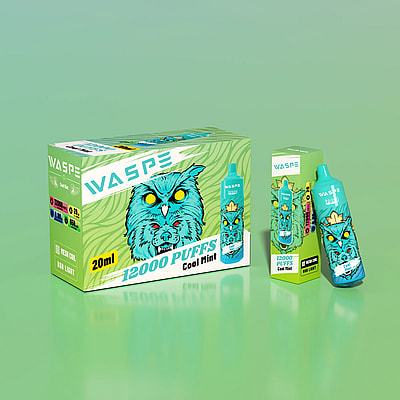 WASPE 12000 12k Puffs Disposable Vape - High-capacity disposable vape device offering 12000 puffs