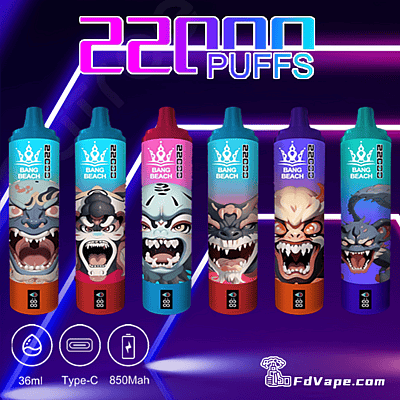 Vape monouso Bang 22000 22K