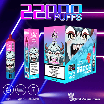 Bang 22000 22K Disposable Vape