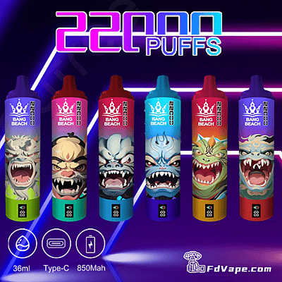 Bang 22000 22K Disposable Vape