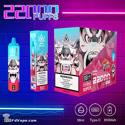 Bang Beach 22000 22k Puffs Disposable Vape 0% 2% 3% 5% Nicotine Many Tastes E-Cigarettes Factory Direct
