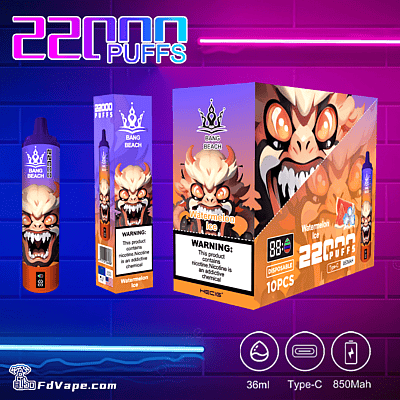 Bang Beach 22000 22K Jetable Vape - Appareil de vapotage jetable haute capacité