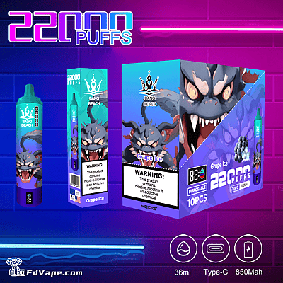 Bang Beach 22000 22K Disposable Vape - High-capacity disposable vaping device