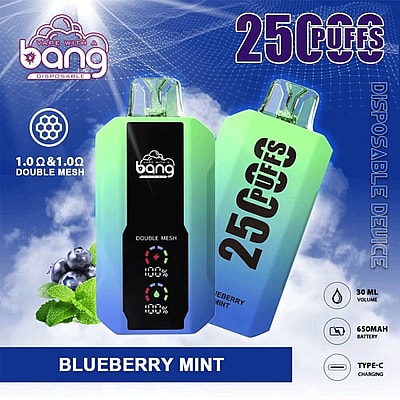 Bang 25000 25k Puffs 0% 2% 3% 5% Nicotine New LED Display Disposable Vape - High-capacity vaping device with LED display