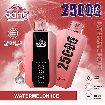 Bang 25000 25k Puffs 0% 2% 3% 5% Nicotine New LED Display Disposable Vape - High-capacity vaping device with LED display