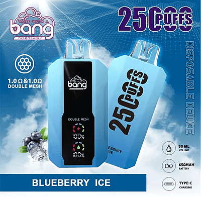 Bang 25000 25k Puffs 0% 2% 3% 5% Nicotine New LED Display Disposable Vape - High-capacity vaping device with LED display