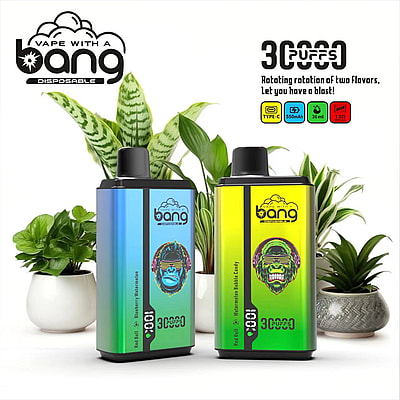 Bang 30000 30k Puffs 0% 2% 3% 5% Nicotine New Double Taste Disposable Vape - High-capacity dual-flavor vaping device