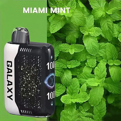 GALAXY 30000 Gypsophila 30k Puffs Vape jetable 5% Nicotine 12 Goûts Affichage LED Direct Usine