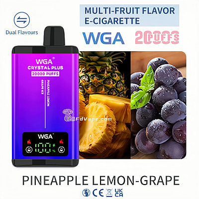 WGA Crystal Plus 20000 20K Puffs Double Taste Disposable Vape 5% Nikotin 18 Tastes LED Display Factory Direct