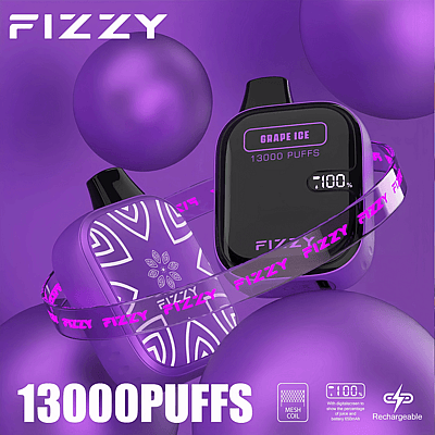 Fizzy Boom 12k 13000 Puffs Disposable Vape Pen 2% 5% Nicotine 12Tastes LED Display Factory Direct