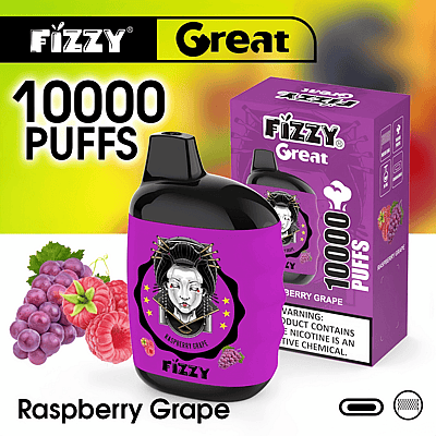 Fizzy Great 10k 10000 Puffs Wegwerp Vape Pen 2% 5% Nicotine 10Tastes Fabriek Direct