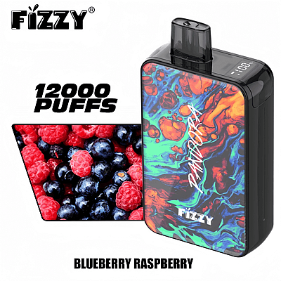 Fizzy Pandora 12k 12000 Puffs Stylo Vape Jetable 2% 5% Nicotine 12 Goûts Affichage LED Directement depuis l'usine