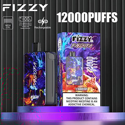 Fizzy Pandora 12k 12000 Puffs Disposable Vape Pen 2% 5% Nicotine 12Tastes LED Display Factory Direct