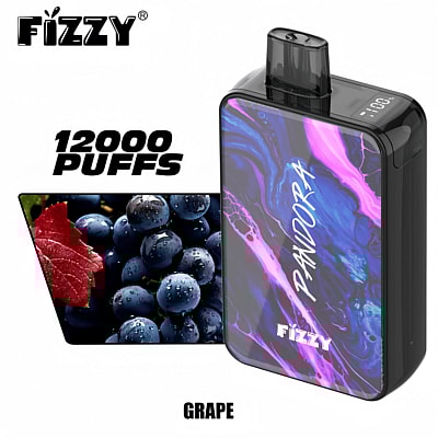 Fizzy Pandora 12k 12000 Puffs Disposable Vape Pen 2% 5% Nicotine 12Tastes LED Display Factory Direct