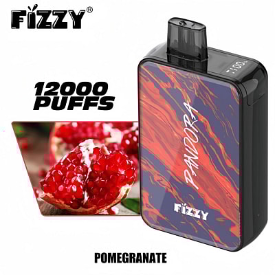 Fizzy Pandora 12k 12000 Puffs Disposable Vape Pen 2% 5% Nicotine 12Tastes LED Display Factory Direct