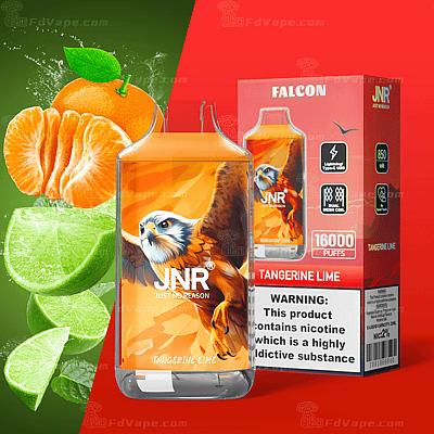 JNR Falcon engångsvape med tangerinlimesmak, med örndesign, 850 mAh batteri, 16000 puffar och nikotinvarning.